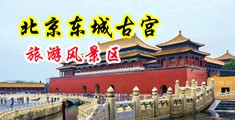 用大鸡巴操老师视频欧美中国北京-东城古宫旅游风景区